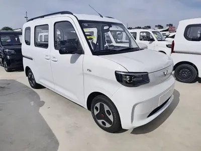 Wuling Zhiguang EV