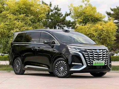 Denza Denza D9
