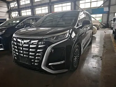 Denza Denza D9