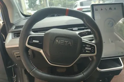 NETA V