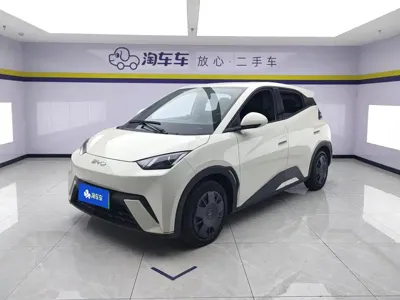 BYD Seagull