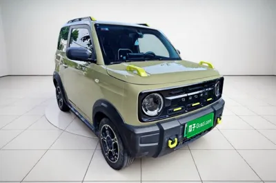 Geely Galaxy Panda