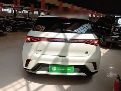 BYD Dolphin