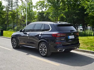 BMW X5 New Energy (Import)