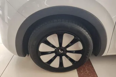 Wuling Bingo