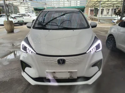 Changan Auchan Benben E-Star