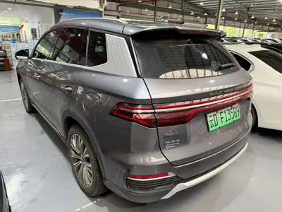 BYD Pro New Energy