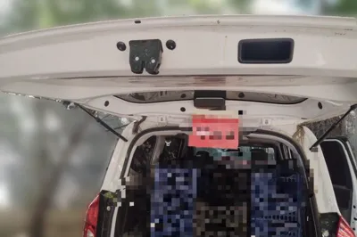Wuling Hongguang New Energy