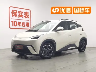 BYD Seagull