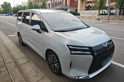 Wuling 730