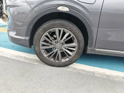 NETA Neta V