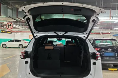 BYD Tang New Energy
