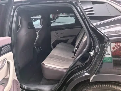 BYD PLUS New Energy