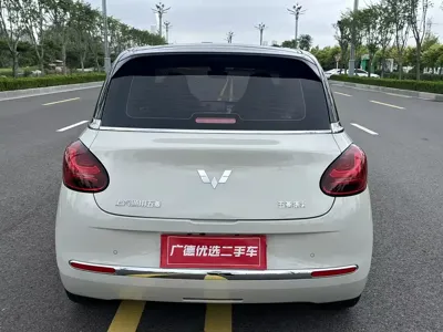 Wuling Bingo