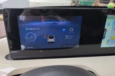Wuling Bingo