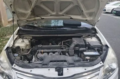 Hyundai Celesta