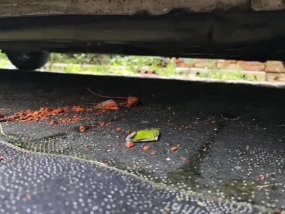 Hyundai Verna