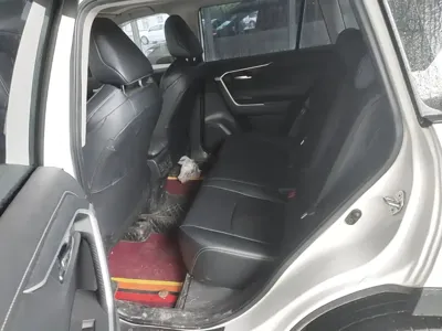 Toyota Wildlander