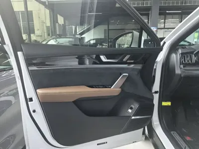 BYD Tang New Energy