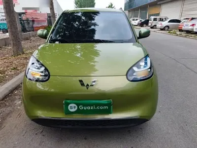 Wuling Bingo