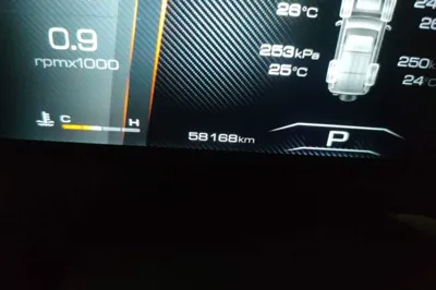 Tank 300