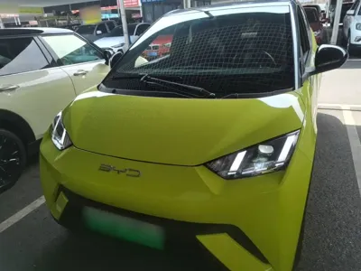 BYD Seagull
