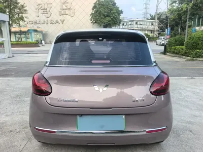 Wuling Bingo