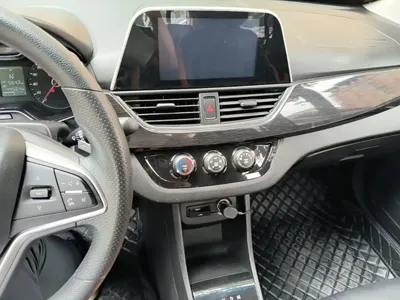 Baojun 310