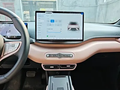 BYD Seagull
