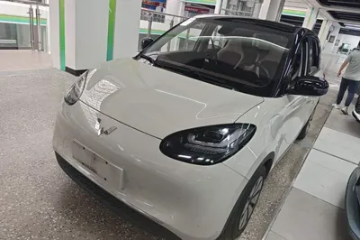 Wuling Bingo