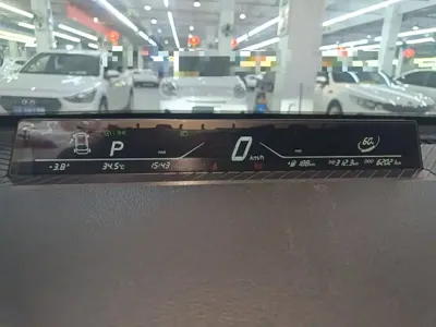 NETA Neta V