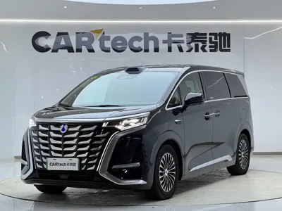 Denza Denza D9