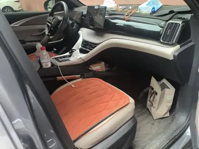BYD Pro New Energy