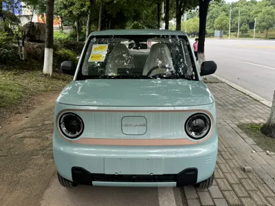 Geely Panda