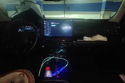 Haval H Dog