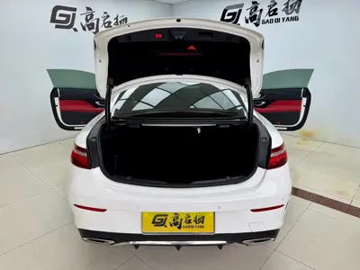 Mercedes-Benz E-Class (Import)