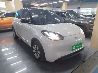 Wuling Bingo