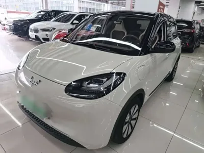 Wuling Bingo