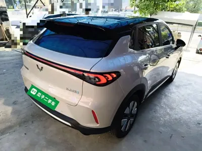 Wuling 缤果S