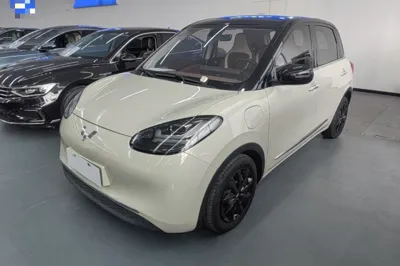 Wuling Bingo