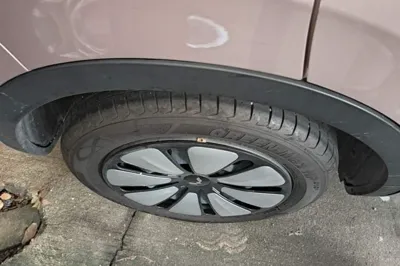 Wuling Bingo