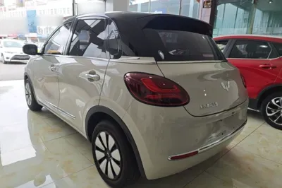 Wuling Bingo