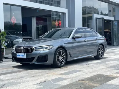BMW 5 Series (Import)
