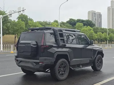 Mengshi Mengshi 917