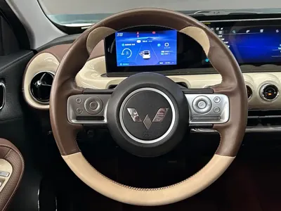 Wuling Bingo