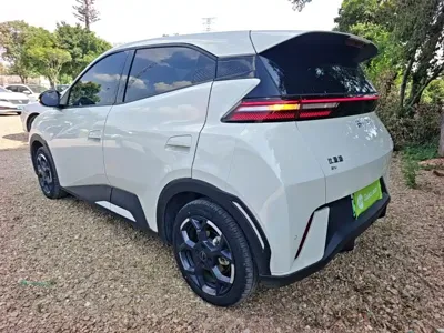 BYD Seagull