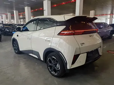BYD Seagull