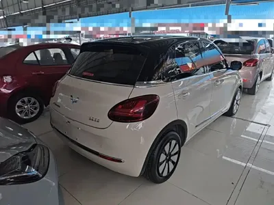 Wuling Bingo