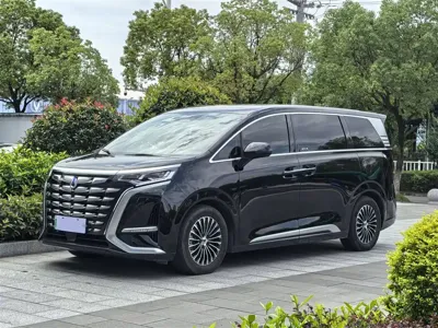 Denza Denza D9