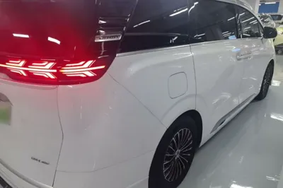 Denza D9